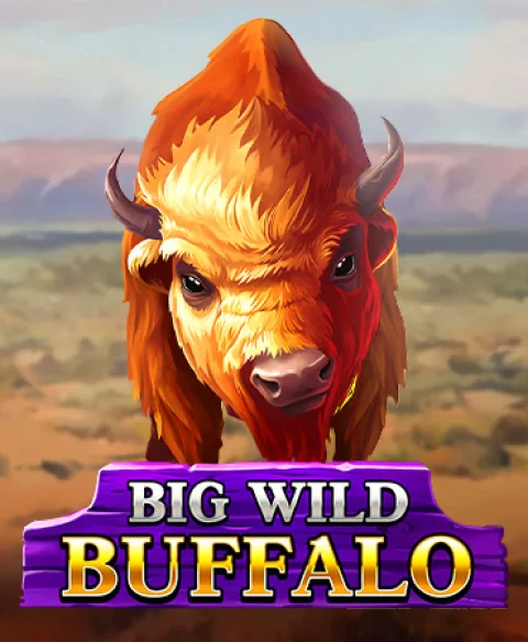 Play Big Wild Buffalo at Win Port Casino